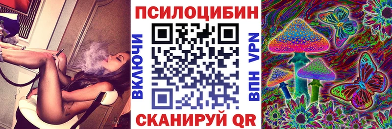 Галлюциногенные грибы Cubensis  наркотики  Бакал 