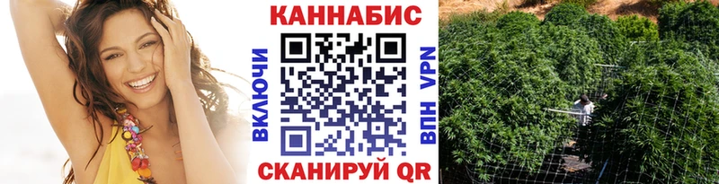 Каннабис индика  наркота  Бакал 